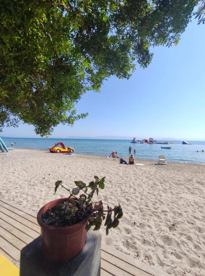 Vila Nea Zoi Moraḯtika Exteriér fotografie